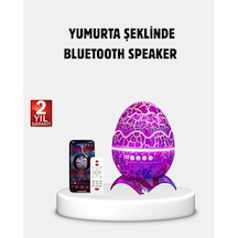 Mey İthalat Yıldızlı Gökyüzü Dinozor Yumurta Projektör Ayarlanabilir Parlaklık Ve Hız