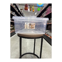 Asude Plastik 10 Litre Çok Amaçlı Saklama Kutusu & Şeffaf Organizer Çok Renkli