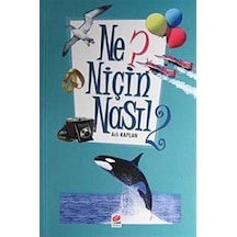 Ne? Niçin Nasıl- 2 / Aslı Kaplan