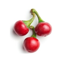 Paket Cherry Tatlı Kiraz Biber Tohumu 150 Tohum+ Tohu