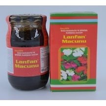 Niyazi Günaştı Lanfan Ballı Baharatlı ve Bitkisel Karışımlı Macun 400 G