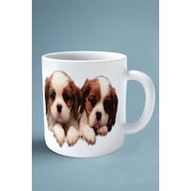 Spaniel Köpek Isimli Kişiye Özel Baskılı Kupa Bardak Ikizler Çok Renkli