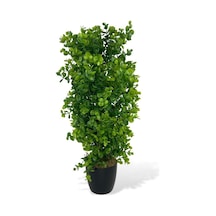 Yapay Çiçek Siyah Saksıda Yeşil Şimşir Ağacı 50cm