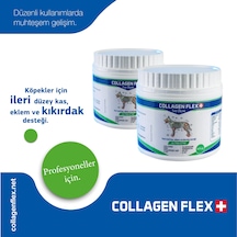 Collagen Flex Eklem ve Kas Güçlendirici Köpek Vitamini 2 x 400 G