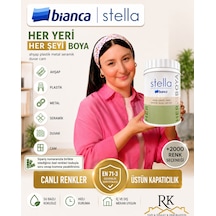 Stella Boya Yeni Nesil Yaşam Boyası Dolap-cam-ahşap-fayans-plastik Diğer