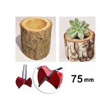 Menteşe Mum Saksı Yuva Açmak Ahşap Tas Freze Pancı 75Mm Panç Karo