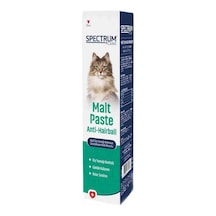 Care Kedi Tüy Yumağı Önleyici Malt Paste 30 Gram