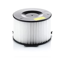 Mann Cu1738 Polen Filtresi 703819989 703819990a 7d0819989