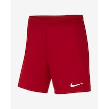 Nike Dri-FIT Park III Kadın Şort