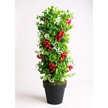 Yapay Çiçek Siyah Saksıda Kokinalı Yeşil Şimşir Ağacı 70 30cm Yeşil