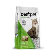 Bestpet Tavuk Etli ve Pirinçli Yetişkin Kedi Maması 15 KG