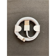 Şarj Aleti Kablosu 1m Lightning Usb Kablosu Sesatech