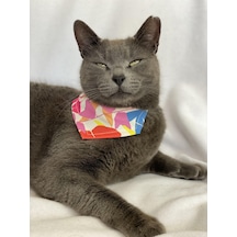 Kemique Autumn Bandana Fular Kedi Kıyafeti