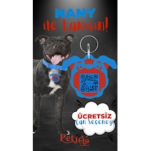Petjoo 17.Nany Kırmızı-Mavi Qr'lı Köpek Künyesi