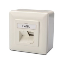 Digitus Sıva Üstü İkili Rj-45 Priz, Cat. 6a Class Ea, Shielded Zırhlı , 2 X Rj45-18665