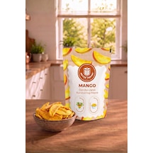 Mango Kuru Meyve Cipsi - Dondurularak Kurutulmuş Freeze Dried Çıtır Mango - 15g - 890564025 Diğer