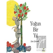 Yoğun Bir Yıl
