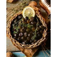 9 Adet Gemlik Trilye Zeytin Fidanı Tüplü 2 Yaş