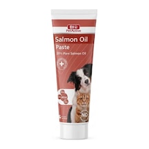 Bio Petactive Salmon Oil Pasta 100 Ml