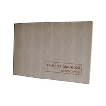 Dilman Tahsilat Makbuzu 2-50 2 N Otokopili N11.5604