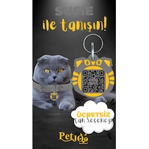 Petjoo 3.Susie Sarı-Gri Qr'lı Kedi Künyesi