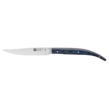 Zwilling 391620000 4'lü Biftek Bıçağı Seti, Mavi Diğer