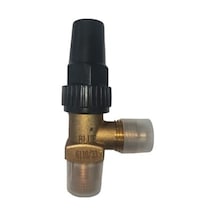 Blue Blr-6110/22 1/4''sae-1/4''npt Depo Vanası