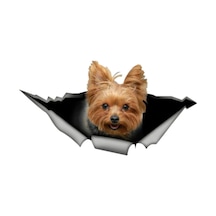 Yorkshire Terrier Cinsi Köpek Araba Sticker Çıkartması 17Cm