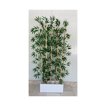 Bambu Seperatör 50 Cm Saksılı Yapay Bambu Premium 190 Cm 36-38 Yaprak 5 Dal Çok Renkli