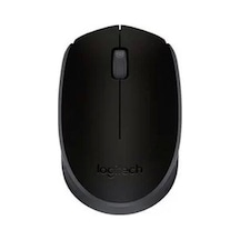 Logıtech M171 Kablosuz Usb Mouse Siyah 910-004424 001