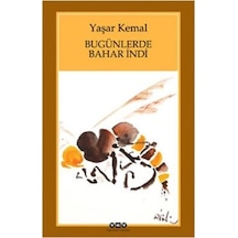 Bugünlerde Bahar Indi
