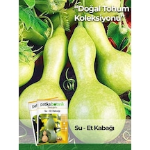 5 Adet Su - Et Kabağı Lagenaria Siceraria Tohumu