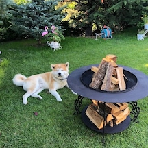 Mayon Odunluklu Ateş Çukurları