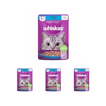 Tr Ton Balıklı Poşet Yaş Mama 85 G Tekli Paket 4 Paketi