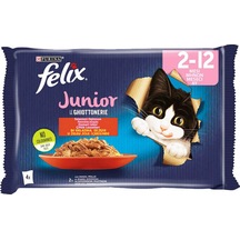2 Adet Felix Pouch Yavru Kedi 4x85g