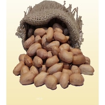 Yer Fıstığı Çiğ 500 G