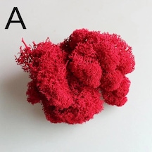 Reindeer Moss Kırmızı Şoklanmış Norveç Yosunu 30gr