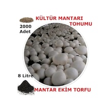 2000 Adet Kültür Mantarı Tohumu Ve 8 Litre Kültür Mantarı Ekim Torfu