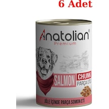 Anatolian Premium Somonlu Parça Etli Yetişkin Köpek Konservesi 6 x 400 G