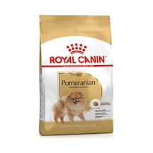 Pomeranian Yetişkin Köpek Irk Maması 3 Kg Renkli