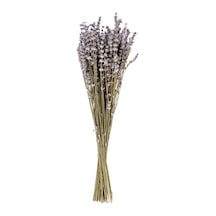 Safran Rengi Hardal Lavanta Demet 40-50 Cm 100 Gr