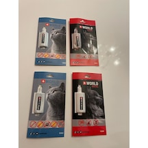 Kedi İç Bağırsak