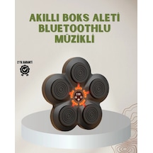 Bluetoothlu Akıllı Boks Antrenman Cihazı Işıklı Hedefli Kardiyo Ve Fitness Aleti Çok Renkli