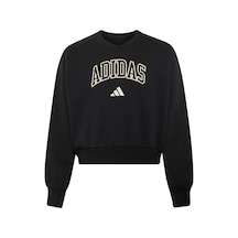Adidas Çocuk Sweatshirt Jg Clgt V-neck Ks5134 Siyah