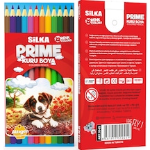 Silka Kuru Boya Prime Tam Boy 12 Li Diğer