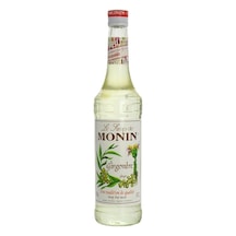 Monin Ginger Zencefil Şurup 700 ML