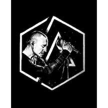 Zepplin Giyim Linkin Park Chester Logo Büyük Sırt Patch Yama