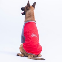 Kırmızı Boston Pawstar Sweat Orta-büyük Irk Köpek Sweatshirt Köpek Sweat Köpek Kıyafeti