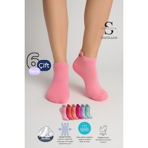 Socketta Kadın Mikrofiber Dikişsiz 6'lı Karışık Renk Patik Çorap Premium Pembe-pudra-çilek-violet-k.pudra-yeşil