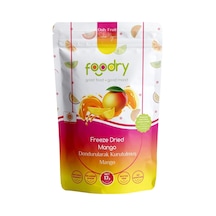 Foodry Freeze-dry Dondurularak Kurutulmuş Mango 17 G - 5 Adet Tarı